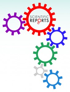 A joinpoint and age-period-cohort analysis of ocular cancer secular trends in Iran from 2004 to 2016