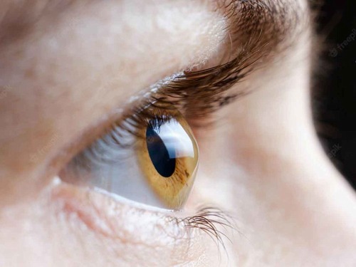 The microenvironment of ocular surface in keratoconus a systematic review