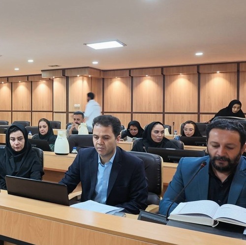 Representatives of the Damari Community Ophthalmology Research Center Participate in the National Workshop on Developing Service Packages for the Poursan Program